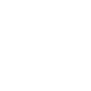 Brasseur-Pepin-logo-1