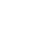Logo de Phoenix medias